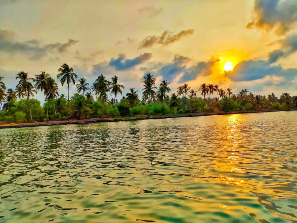 Paradise Lagoon
