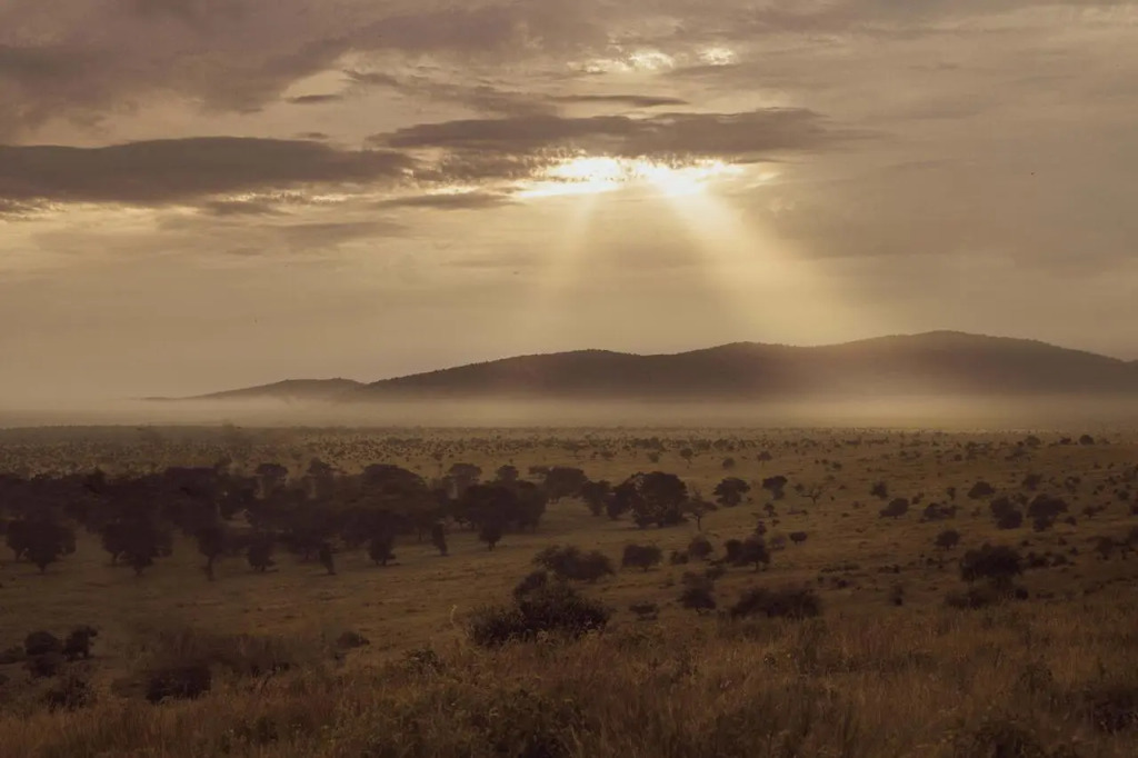 Taita Hills Safari Resort & Spa