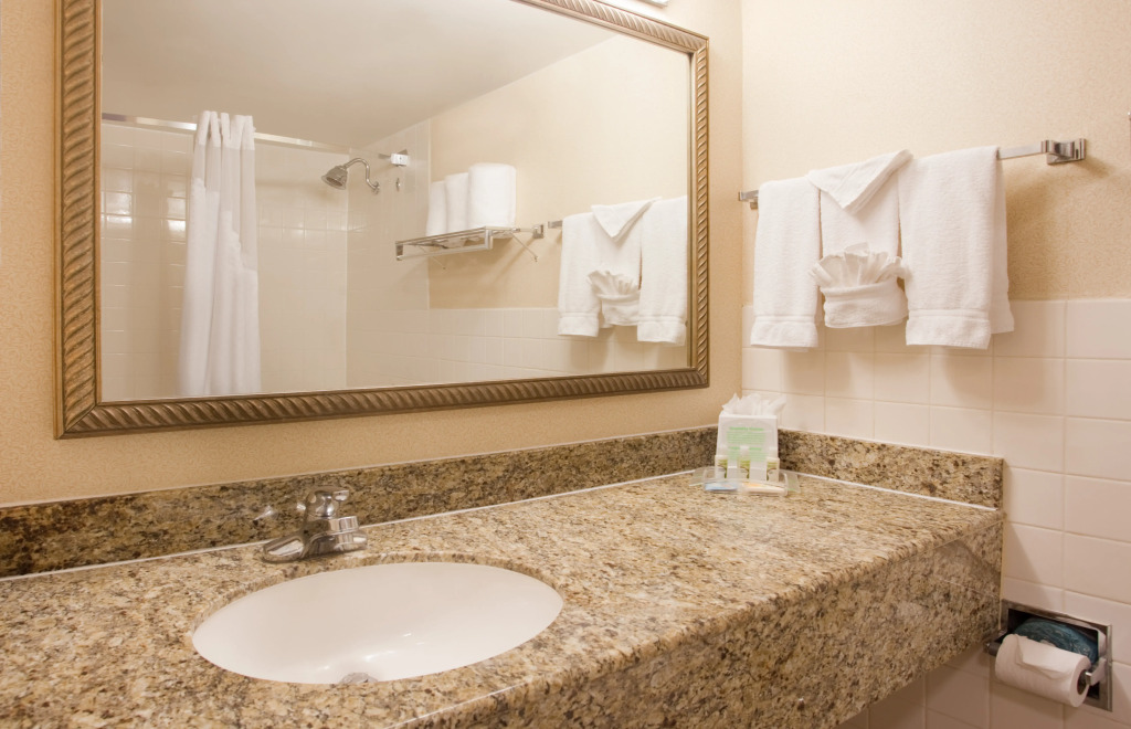 Holiday Inn At The Plaza