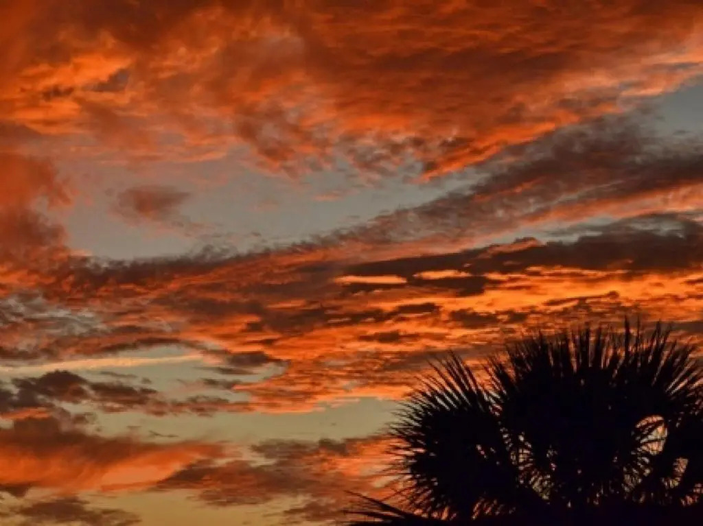 Ponce Landing 04