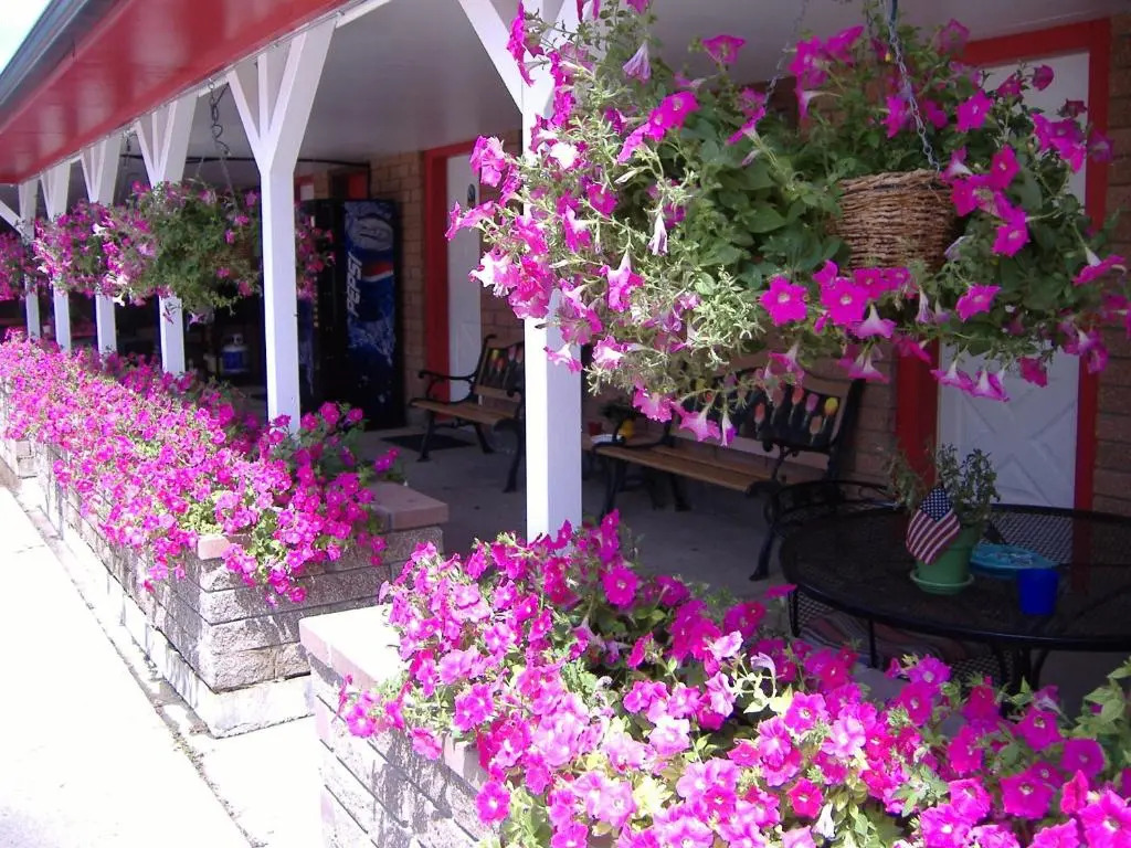 Greybull Motel