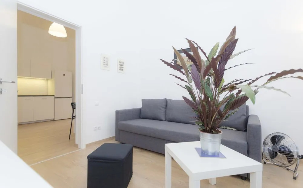 Souper Apartments Jozsefvaros