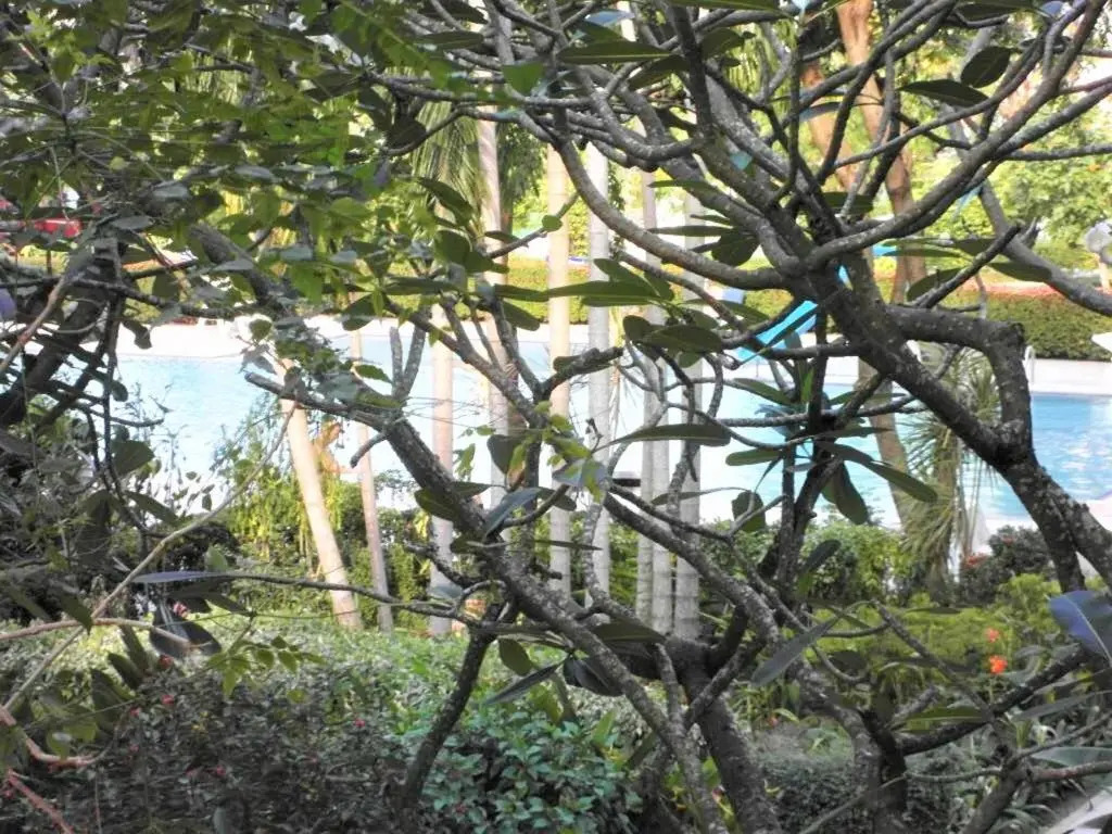 Baan Suan Lalana Td large modern studio with garden view Pattaya
