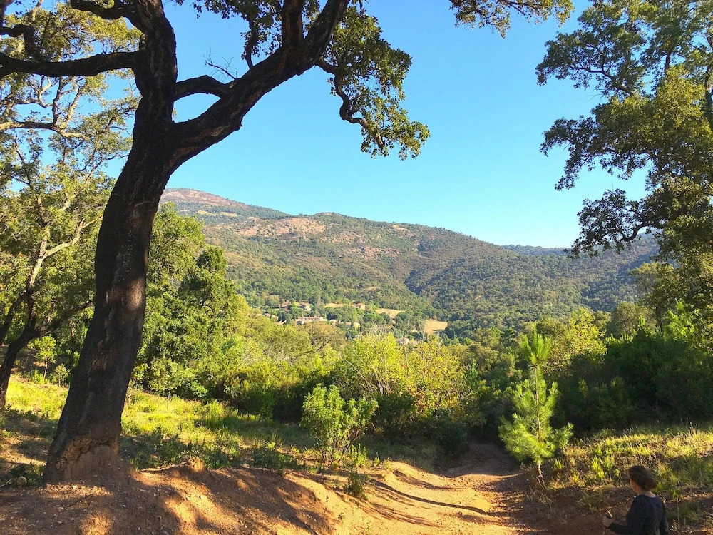 Cozy Characteristic 2-person House, in an Authentic Hamlet Near Grimaud