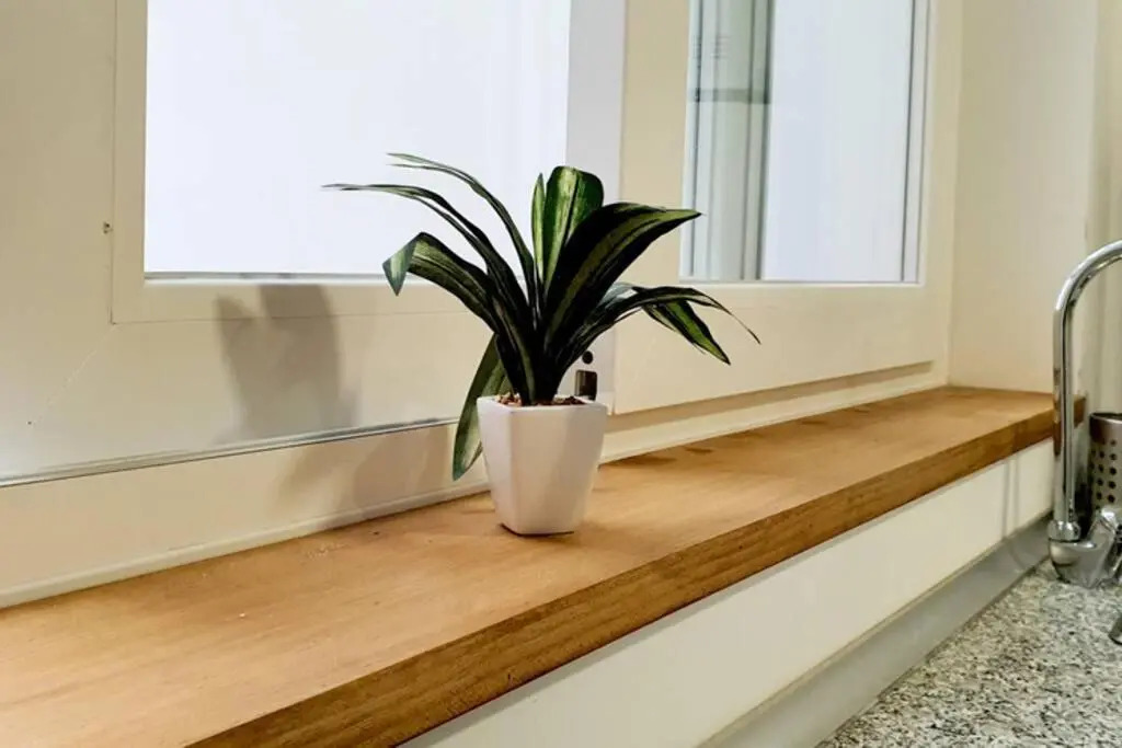Apartamento en absoluto centro en Algeciras 1º A