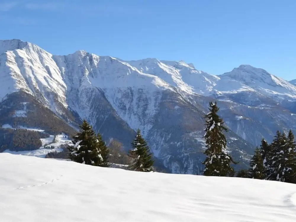 Hirschfluh Duplex Riederalp