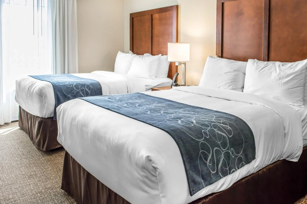 Comfort Suites Near Potomac Mills