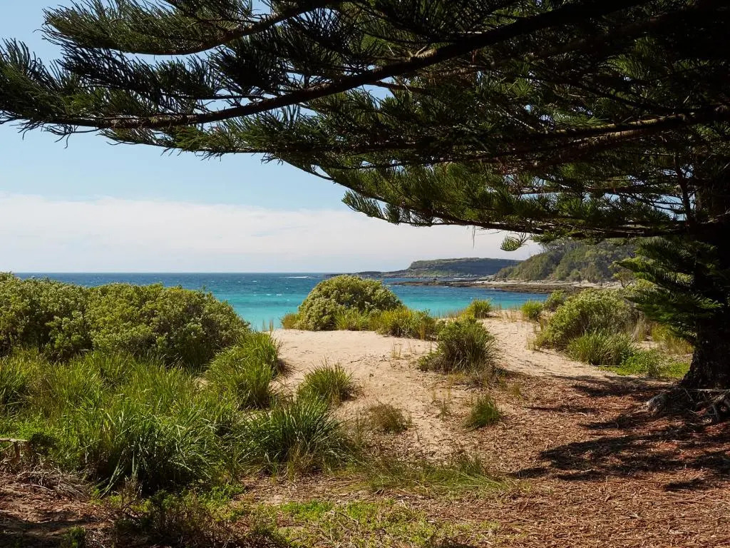 NRMA Murramarang Beachfront Holiday Resort