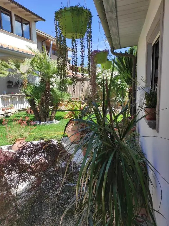 Cactus house