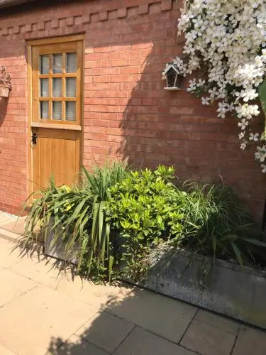 The Burrow