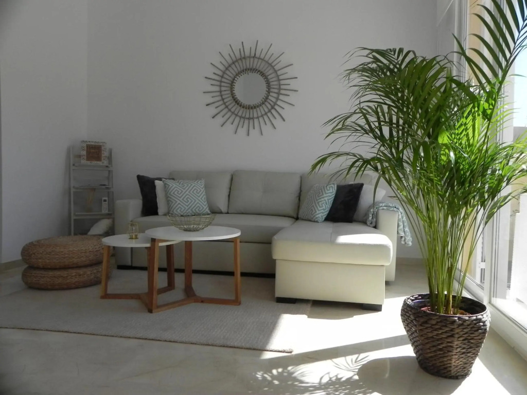 Brand New Apartment