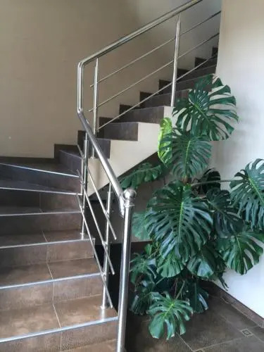Mandarin Guest House