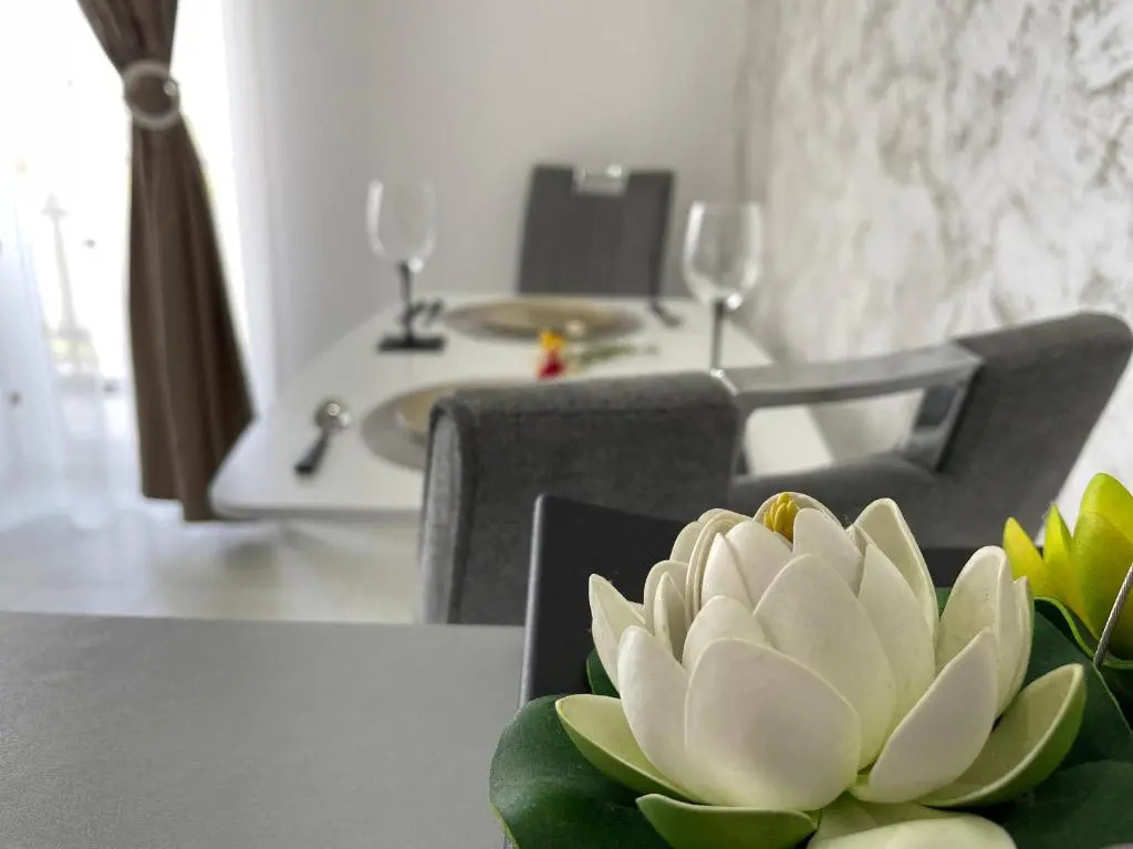 Luxory Apartaments 2