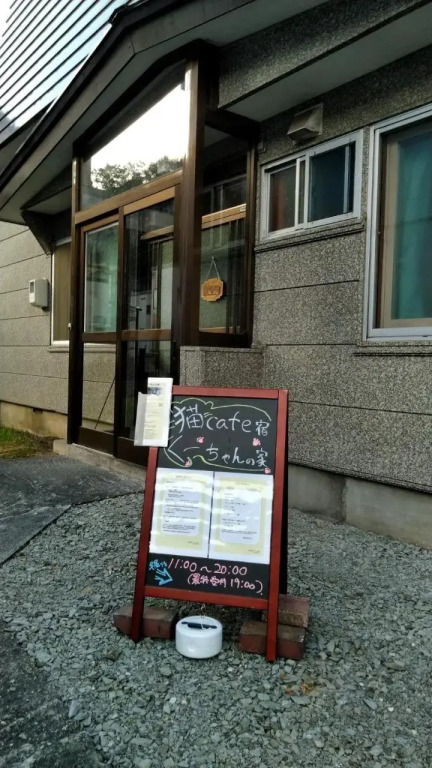 Cat Cafe & Stay Cultuss Home