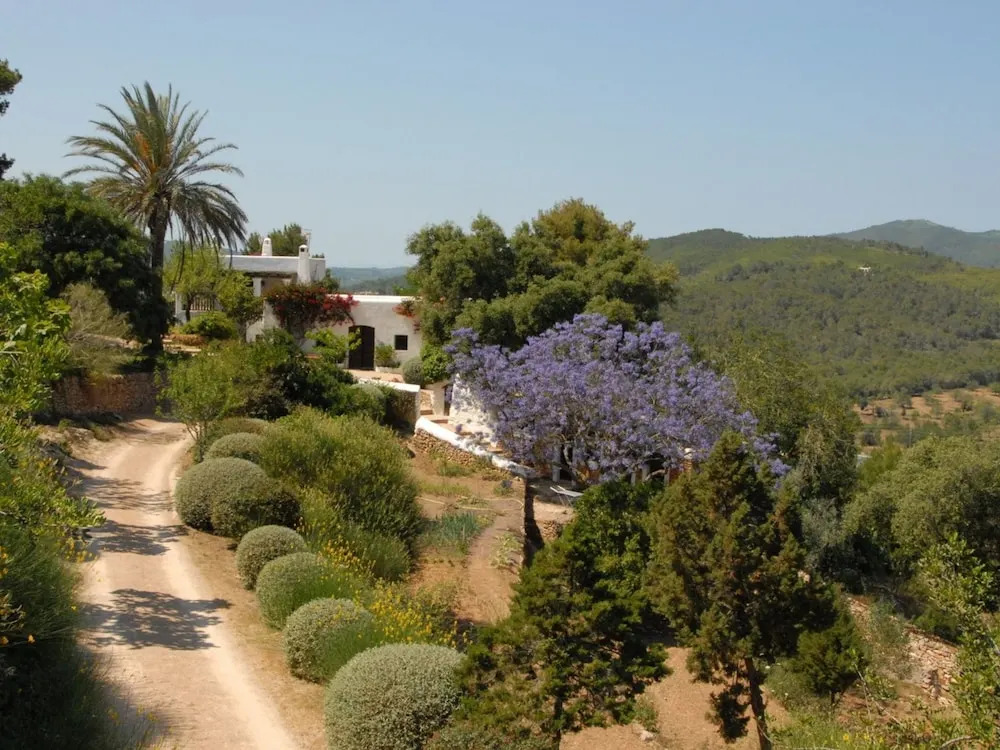 Boutique Mansion in Ibiza With Swimming Pool
