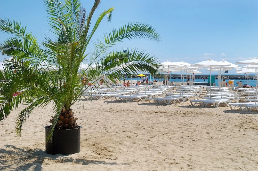 Hotel Lebed