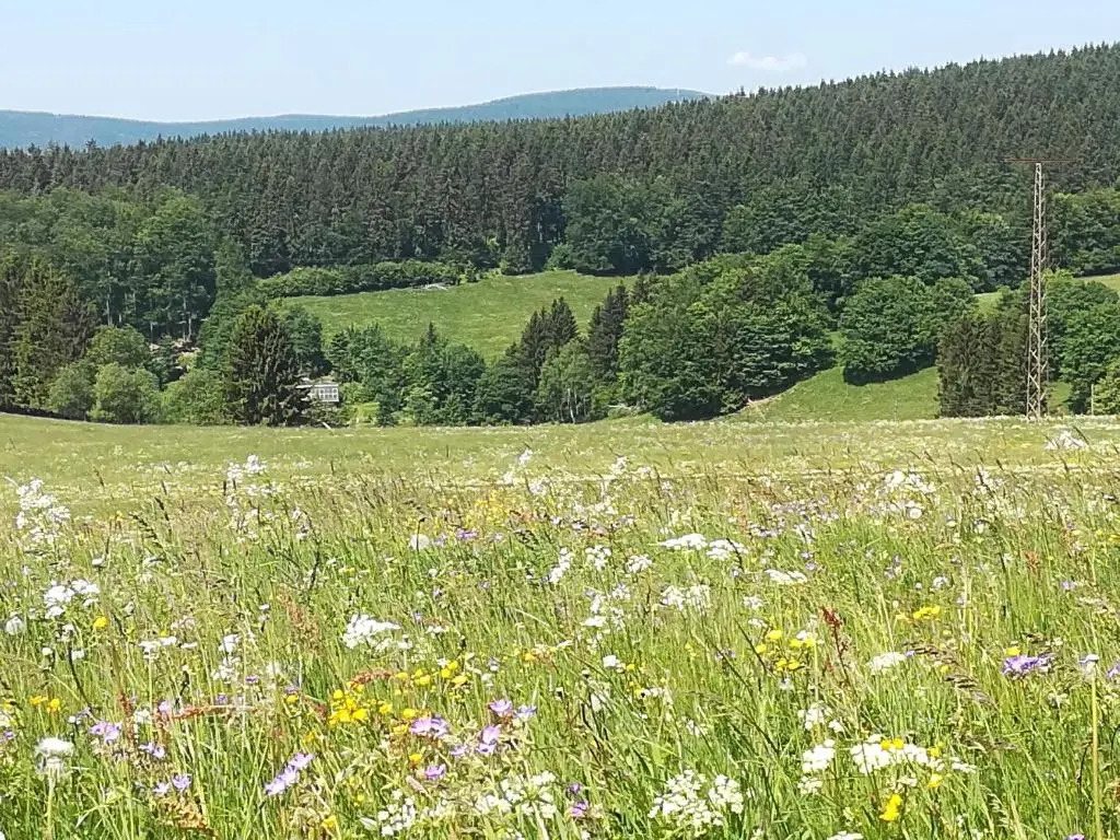 Haus Linde Frauenwald am Rennsteig