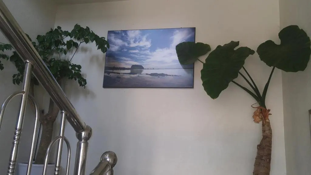Sea Dragon Pension