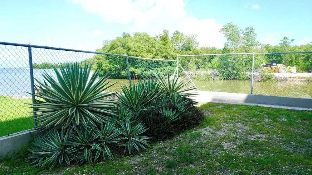 See Belize Tranquil Sea View Studio With