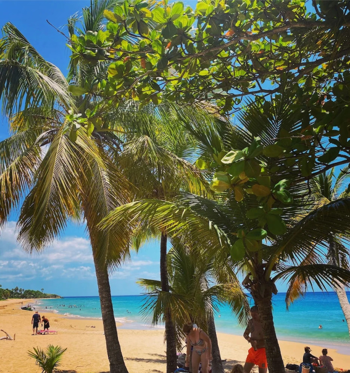 Auberge K-WAN Hostel - Proche Plages