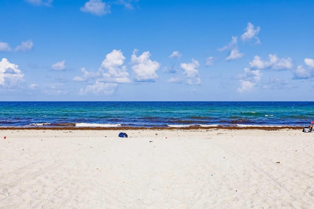 Upscale Modern 2B Condo on the Beach