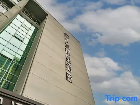 Qingmu Platinum Hotel (Nanjing Lishui Qinyin Avenue Branch)