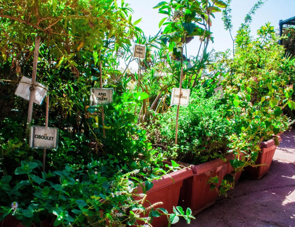 Hostel Casaltura