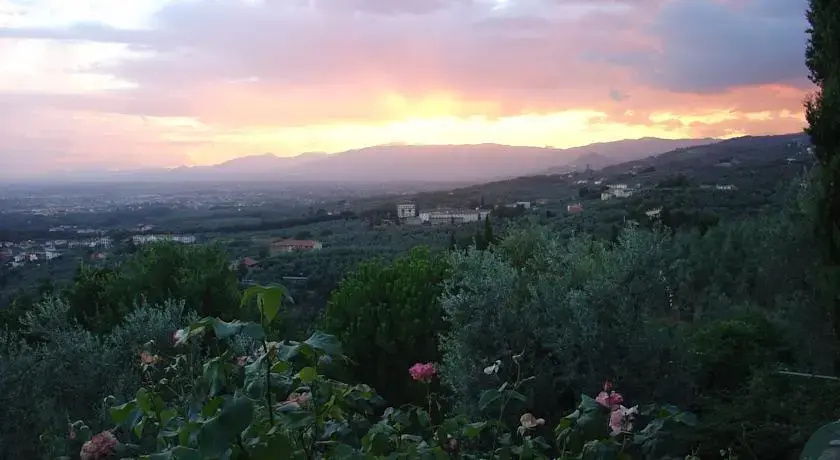 Olive Tree Suites