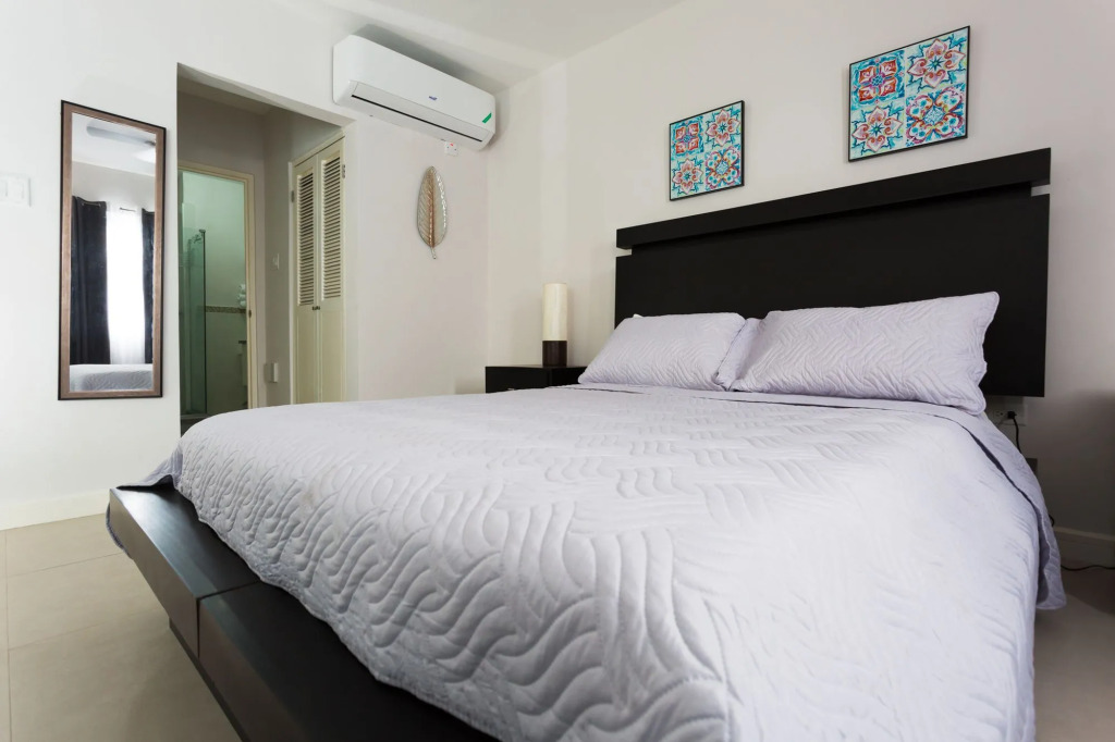 Kingston Luxury Guest Apt at Sullivan