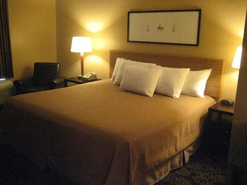 Pine View Resort