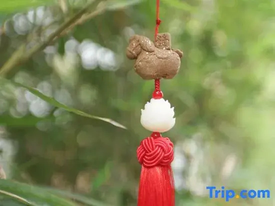 Under the Camphor Tree Guesthouse