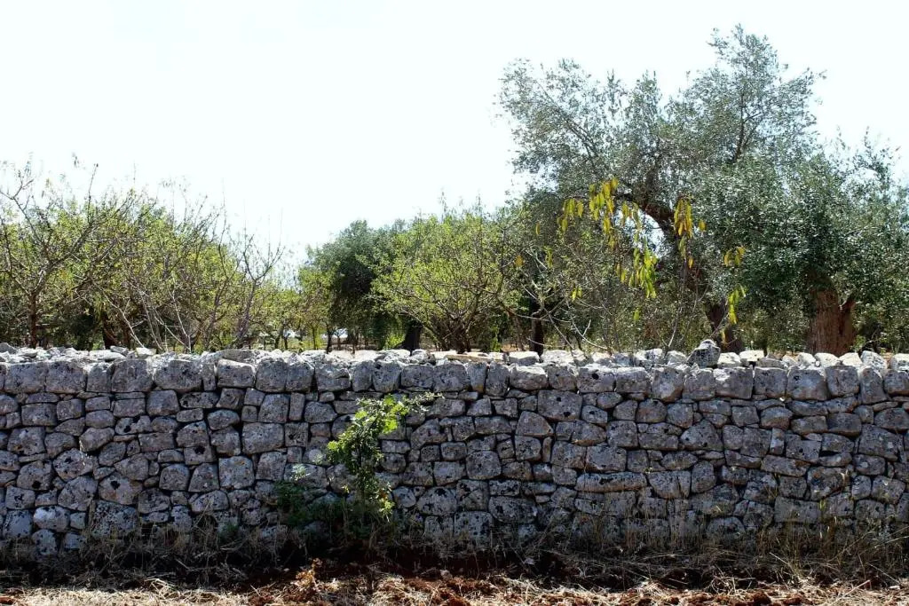 Masseria dell800