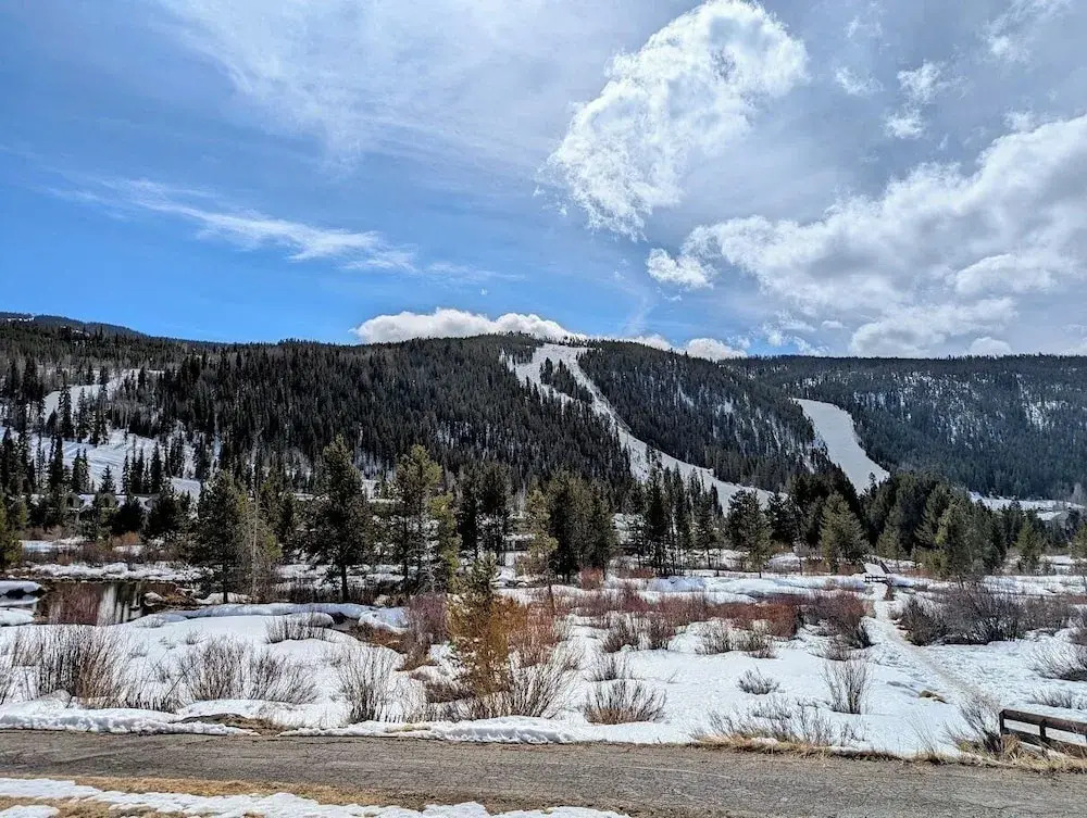 Cinnamon Ridge C114