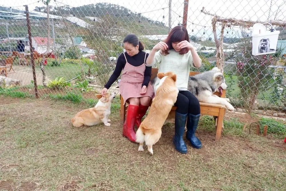 White House Dalat