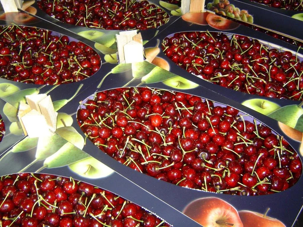 B&B Cherryfarm
