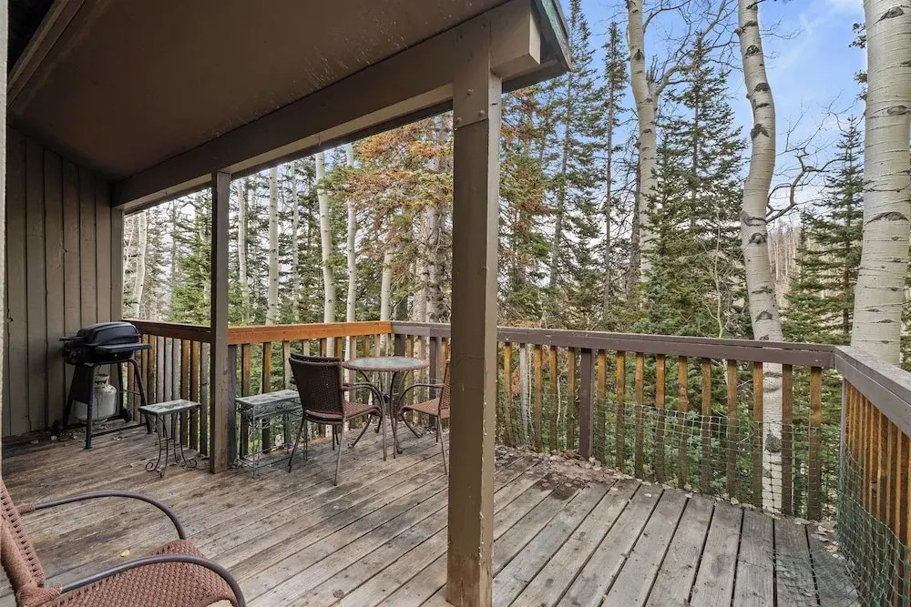 Ski Access SS7B Retreat Pet Friendly
