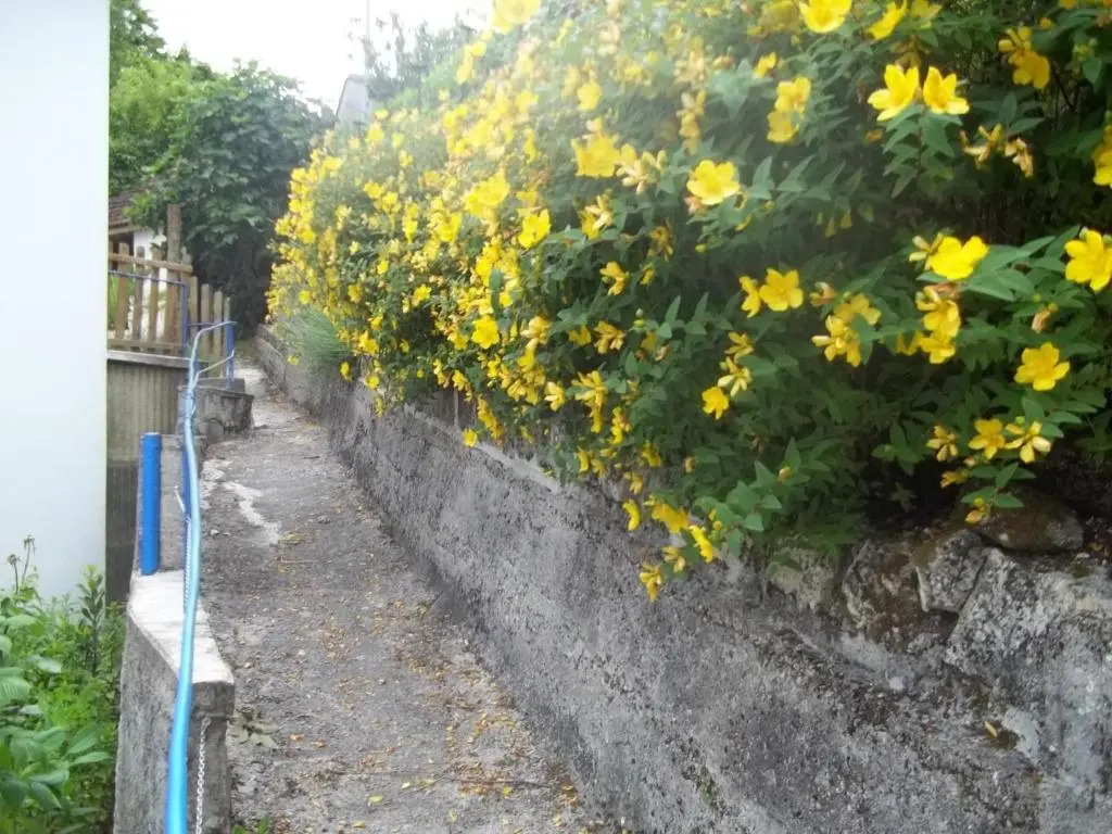 floryll
