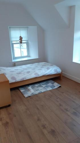Old Town Apartment