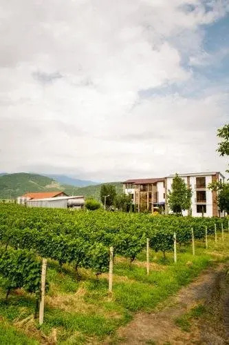 Shaloshvili's Cellar Hotel