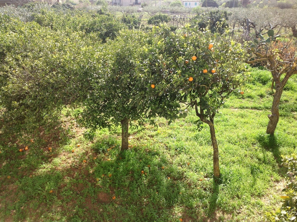 B&b Il giardino degli agrumi