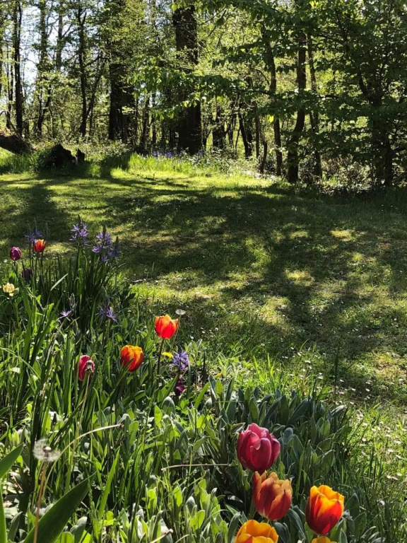 Mabelle Reve B&B (Adults Only)