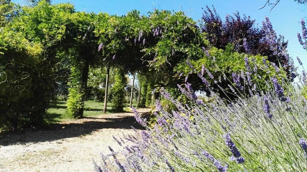 Tenuta Le Pantanelle