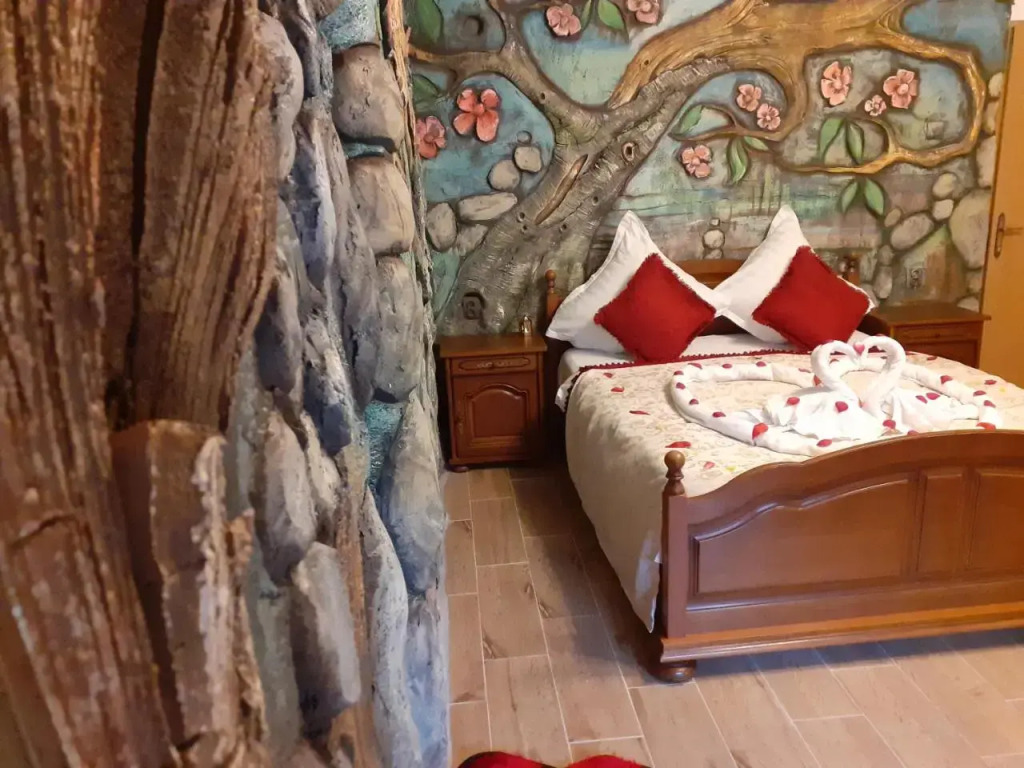 Pensiunea Dracula & Spa