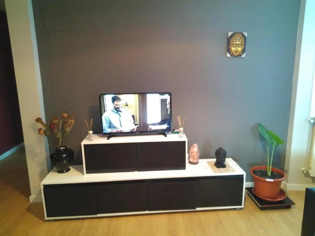 Euskal Dreams Apartment