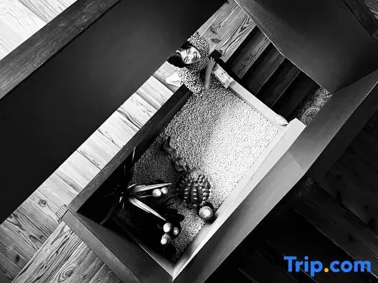 Shanlan · Linjiang Homestay