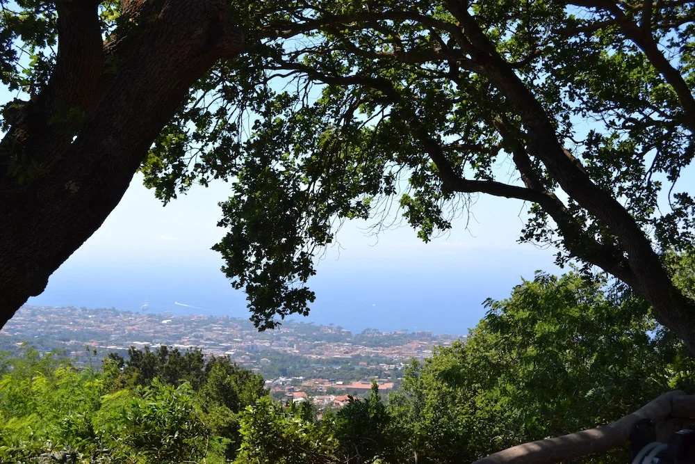 Holiday Time Sorrento