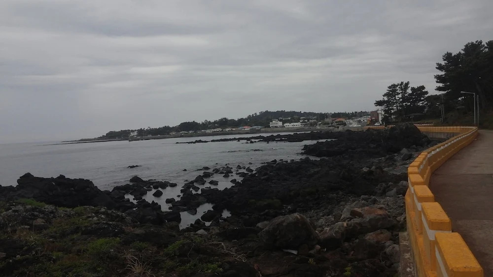 Ophir House Jeju