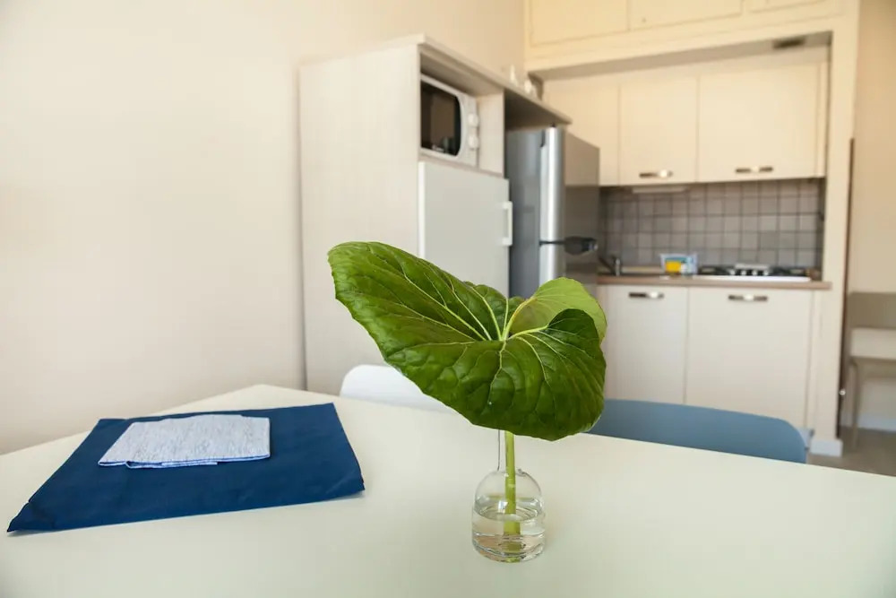 Residence La Palma