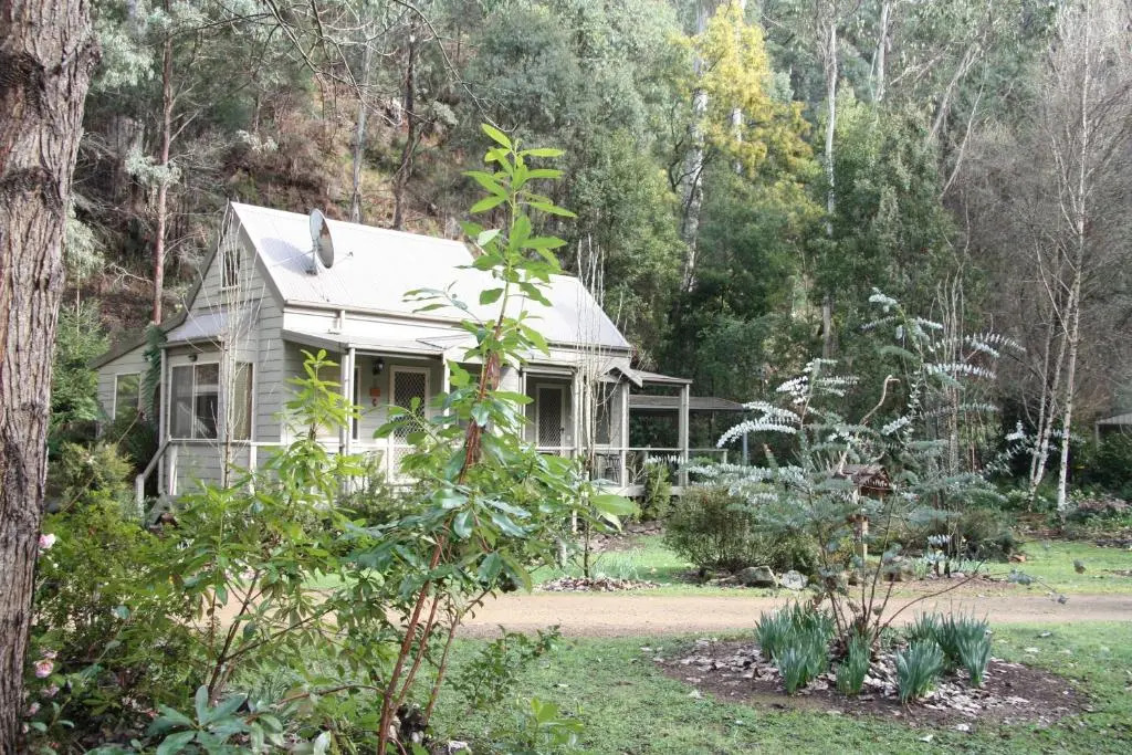 shady brook cottages