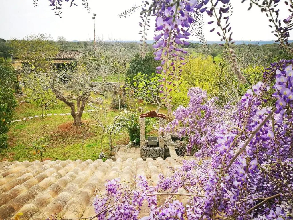 B&B Borgo Del Gallo